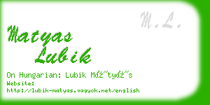 matyas lubik business card